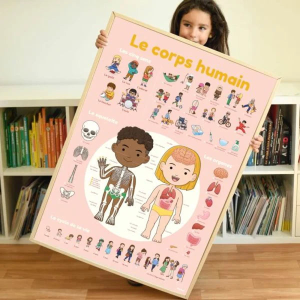 Poster com Autocolantes Descobrir o Corpo Humano - PopPik