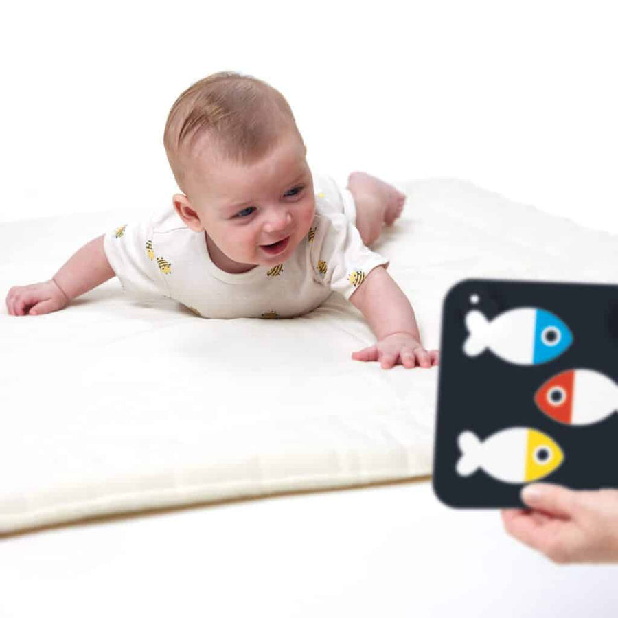 Cartas Alto Contraste para Bebés +0/3m | Banana Panda