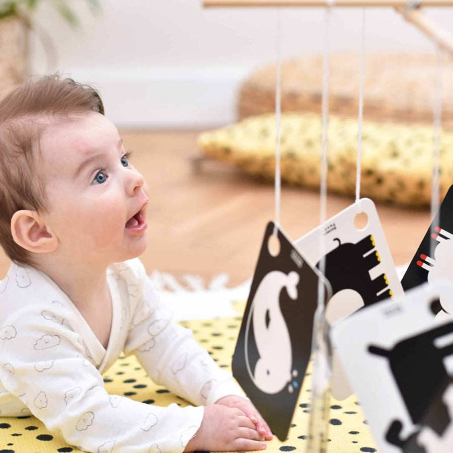 Cartas Alto Contraste em Anel para Bebés +3m | Banana Panda