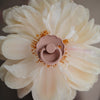 Pack 2 Chupetas Frigg Latex -  Daisy Graphite/Lily Pad 0+